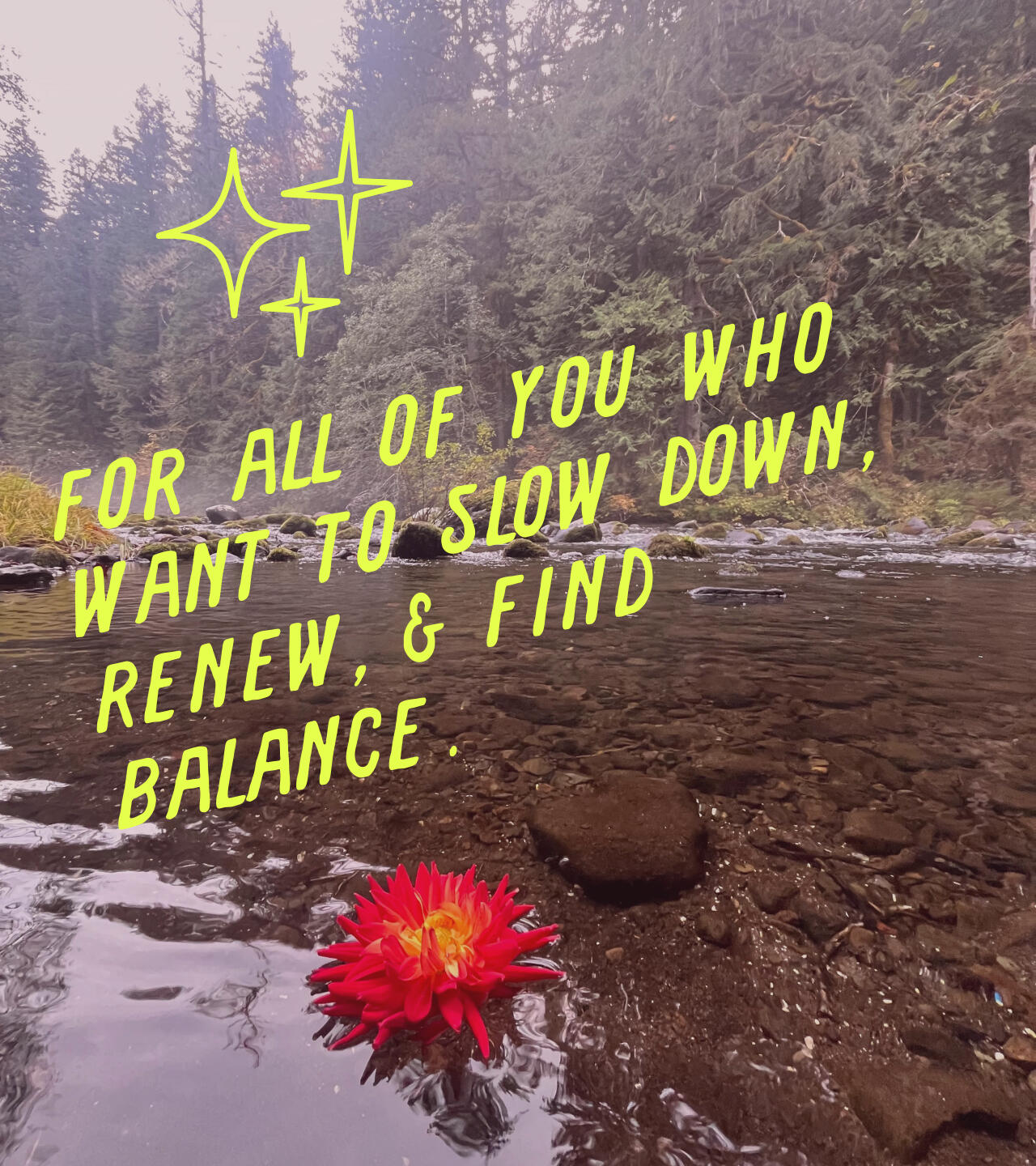 Meditation for busy brains A red flower floats peacefully on the ripples of an eddy in the mountain stream, surrounded by lush evergreen foliage. The words "for all of you who want to slow down, renew, & find balance" overlayed in a bright, playful font.