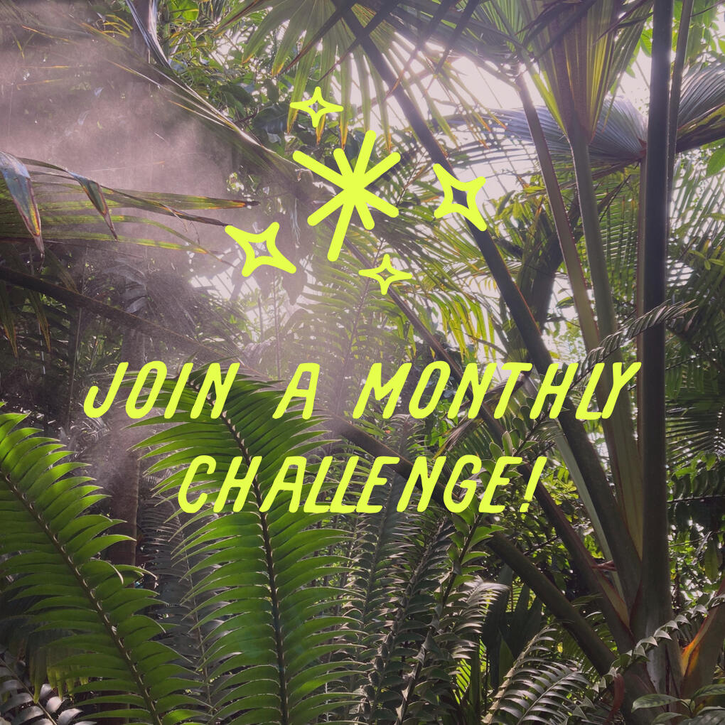 Monthly wellness challenges Steam rises among palm fronds in a tropical greenhouse with the words "join a monthly challenge!" overlayed in playful font"