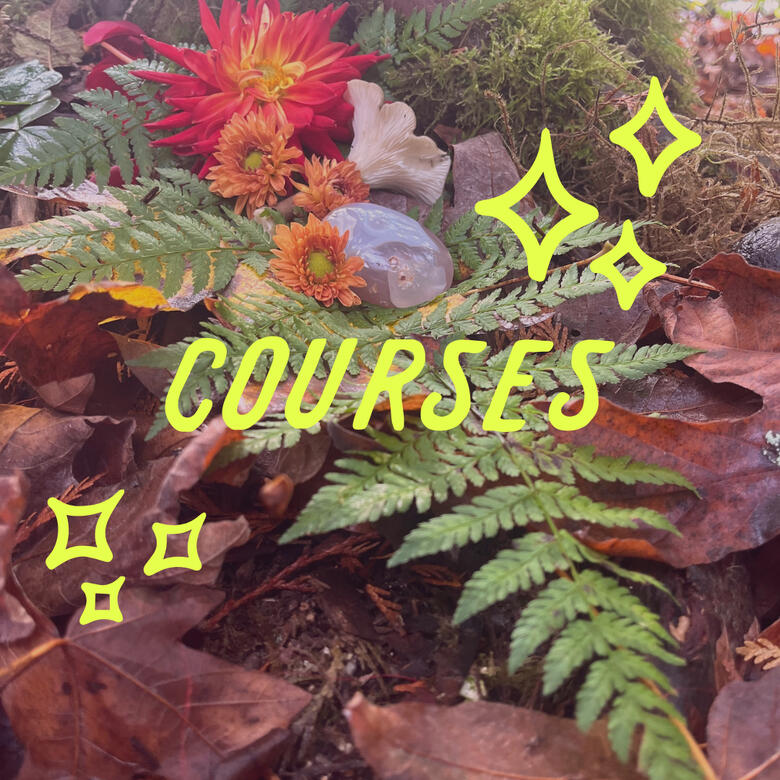 Florals and stones gathered together in ritual on the forest floor, overlayed with the word "courses" in a vibrant and playful font.